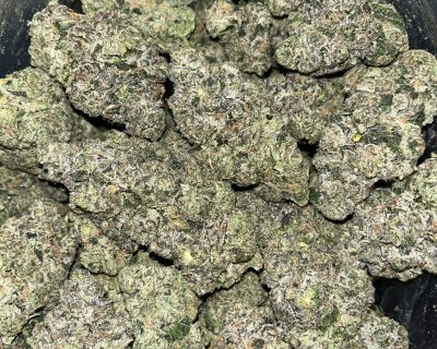 WARHEAD RUNTZ (EXOTICS) - Image 5